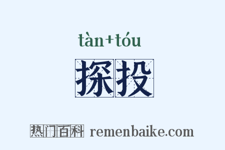 探投是什么意思的图片